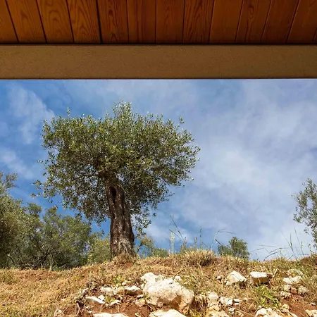 Ouranos By Whitedream Villa *