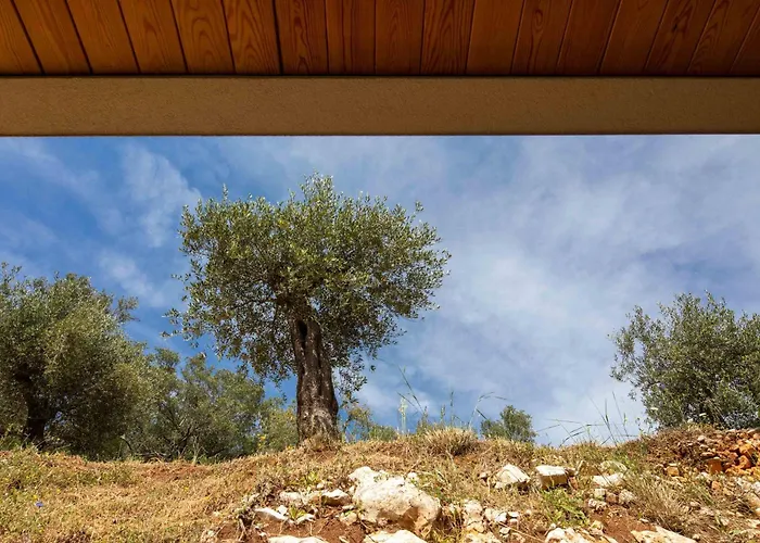 Ouranos By Whitedream Villa *